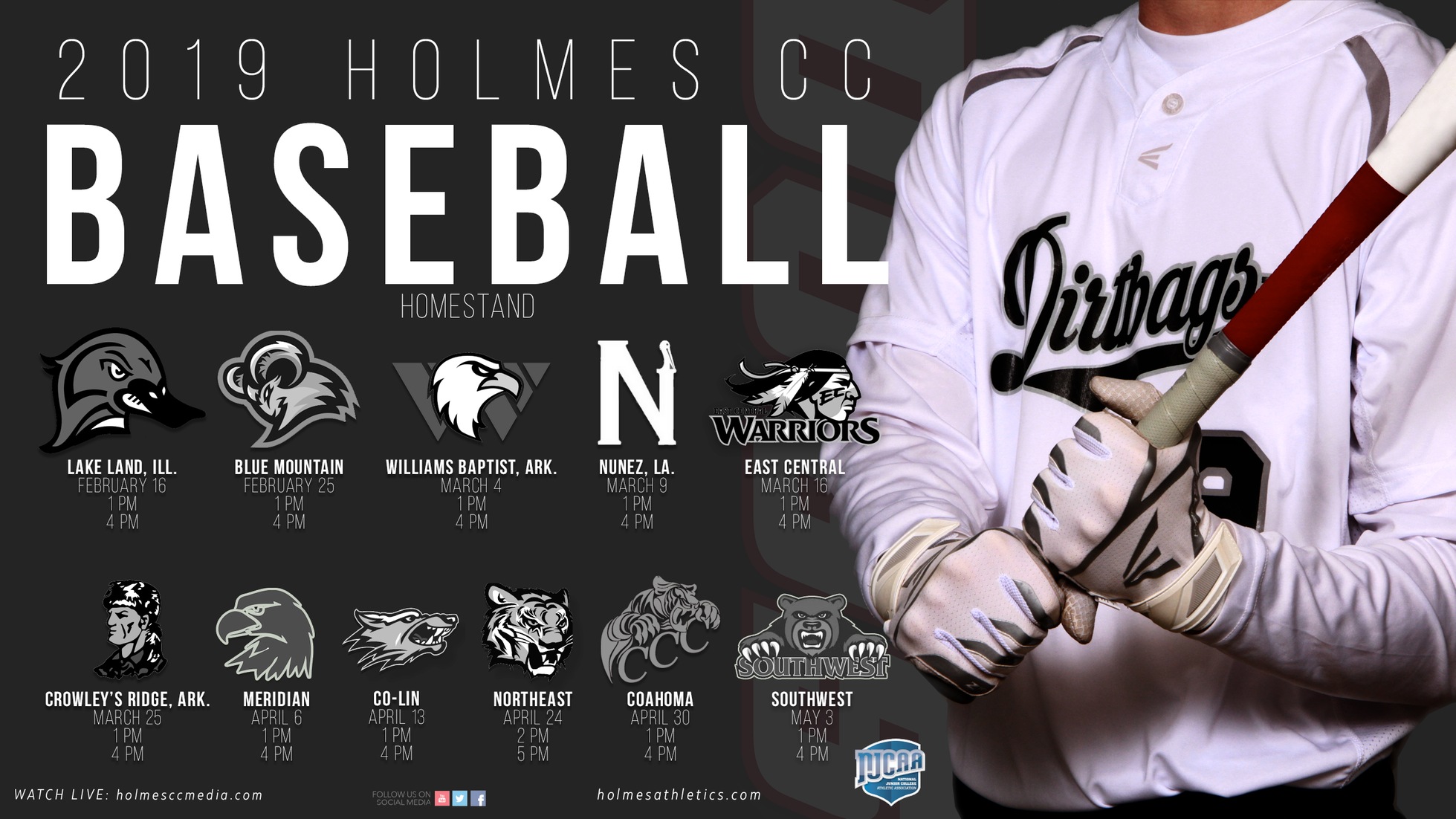 2019 Baseball Homestand