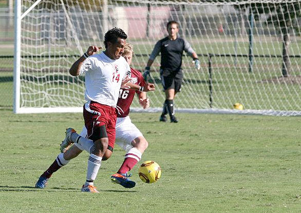 Bulldogs get 6-3 win over Wolves