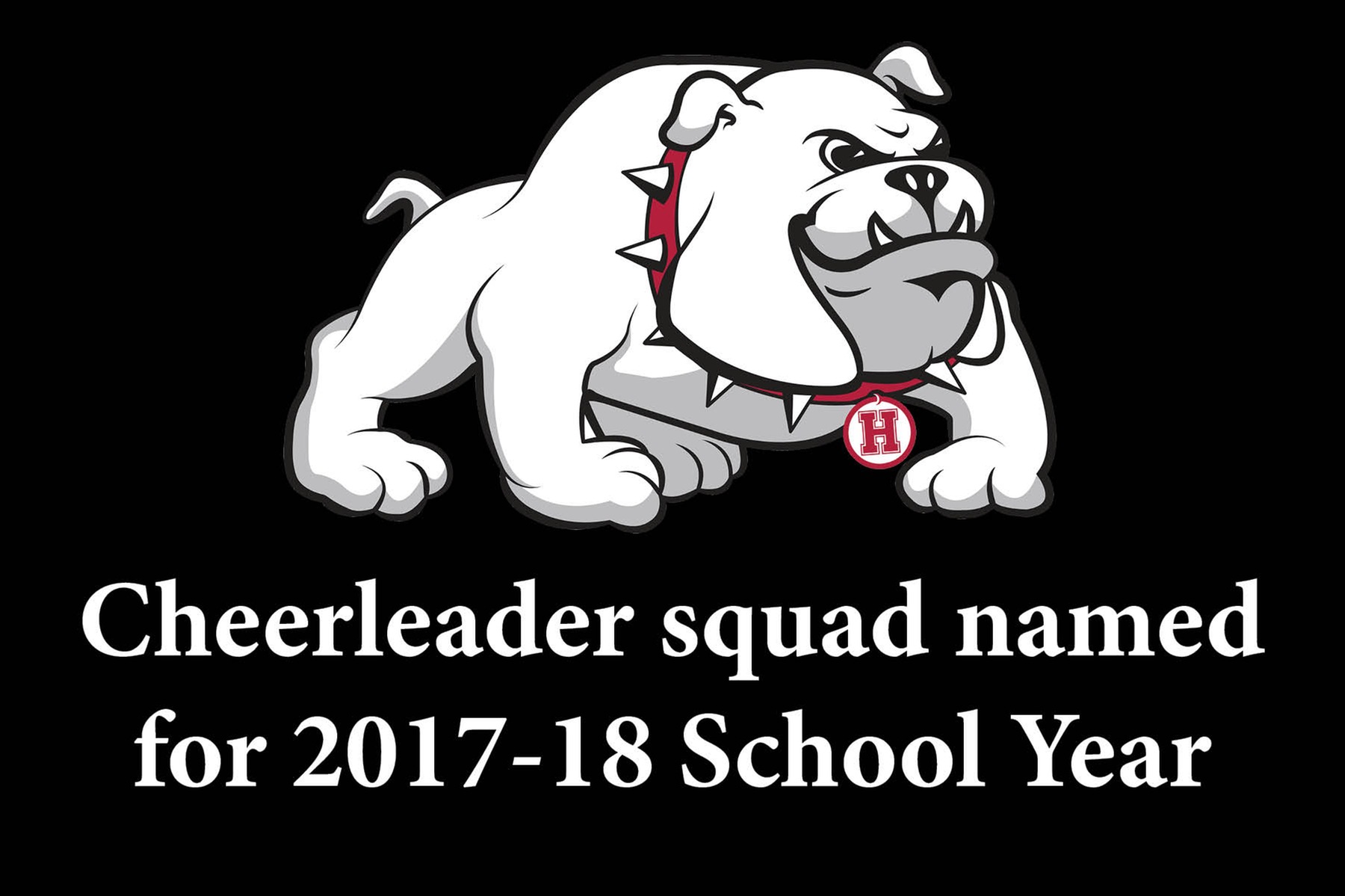 Cheerleaders named for 2017-18 School Year